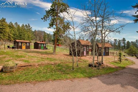Tiny photo for 1901 Rampart Range Road, Woodland Park, CO 80863 (MLS # 9857314)