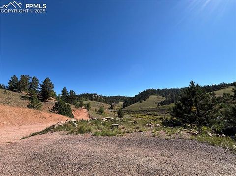 Tiny photo for 927 Stonehenge Drive, Florissant, CO 80816 (MLS # 8953891)