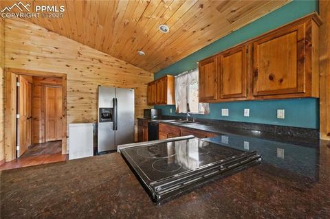 Tiny photo for 927 Stonehenge Drive, Florissant, CO 80816 (MLS # 8953891)