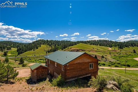 Tiny photo for 927 Stonehenge Drive, Florissant, CO 80816 (MLS # 8953891)