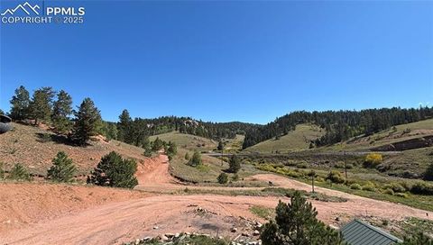 Tiny photo for 927 Stonehenge Drive, Florissant, CO 80816 (MLS # 8953891)