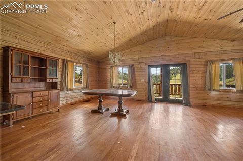 Tiny photo for 927 Stonehenge Drive, Florissant, CO 80816 (MLS # 8953891)