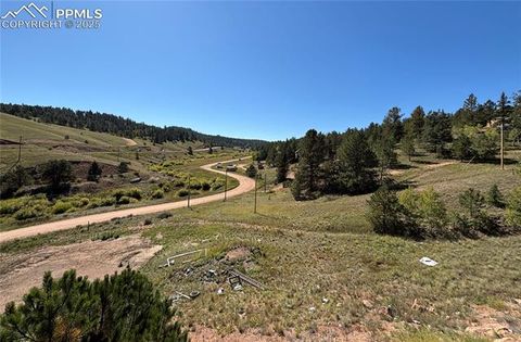 Tiny photo for 927 Stonehenge Drive, Florissant, CO 80816 (MLS # 8953891)