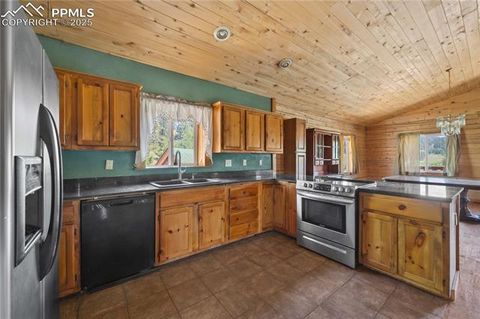Tiny photo for 927 Stonehenge Drive, Florissant, CO 80816 (MLS # 8953891)