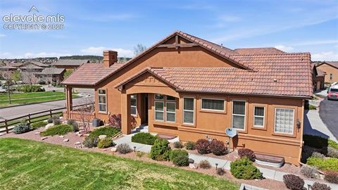 Photo of 13184 Cake Bread Heights, Colorado Springs, CO 80921 (MLS # 7999678)