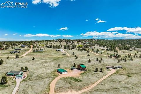 Tiny photo for 85 Estes Circle, Florissant, CO 80816 (MLS # 9751350)