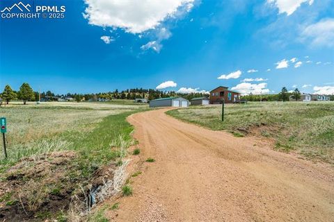 Tiny photo for 85 Estes Circle, Florissant, CO 80816 (MLS # 9751350)