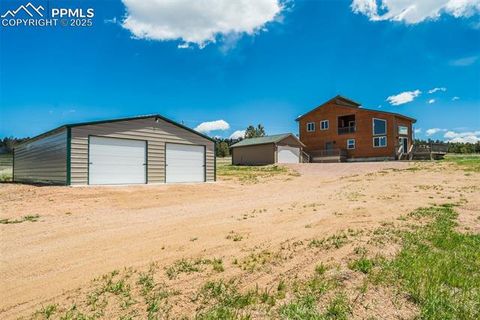 Tiny photo for 85 Estes Circle, Florissant, CO 80816 (MLS # 9751350)