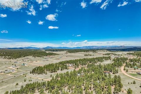Tiny photo for 85 Estes Circle, Florissant, CO 80816 (MLS # 9751350)