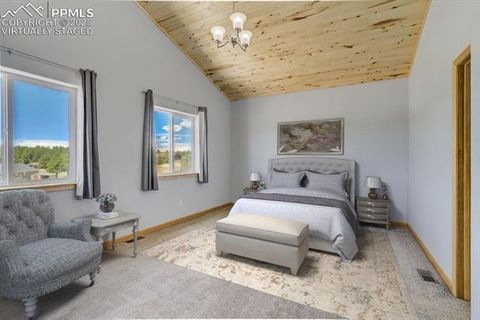 Tiny photo for 85 Estes Circle, Florissant, CO 80816 (MLS # 9751350)