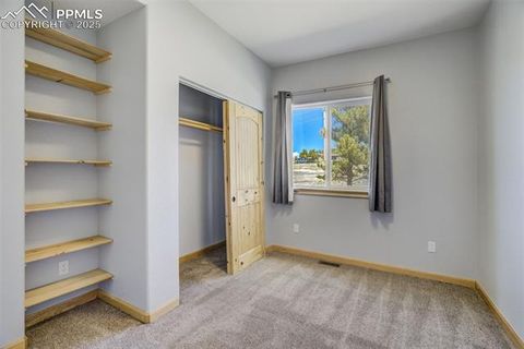 Tiny photo for 85 Estes Circle, Florissant, CO 80816 (MLS # 9751350)