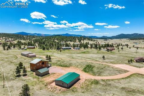 Tiny photo for 85 Estes Circle, Florissant, CO 80816 (MLS # 9751350)