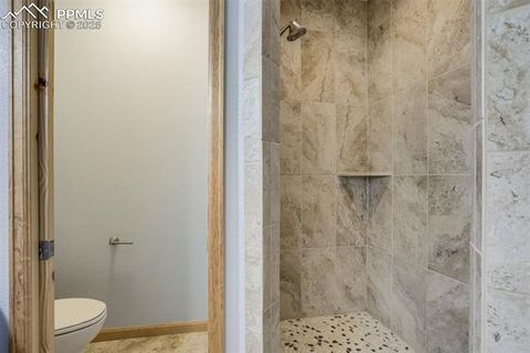 Tiny photo for 85 Estes Circle, Florissant, CO 80816 (MLS # 9751350)
