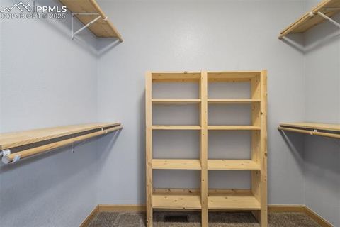 Tiny photo for 85 Estes Circle, Florissant, CO 80816 (MLS # 9751350)