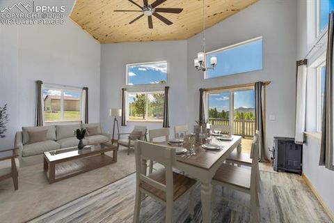 Tiny photo for 85 Estes Circle, Florissant, CO 80816 (MLS # 9751350)