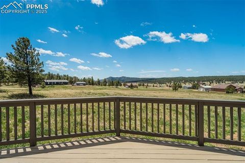 Tiny photo for 85 Estes Circle, Florissant, CO 80816 (MLS # 9751350)