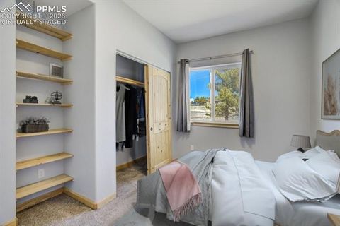 Tiny photo for 85 Estes Circle, Florissant, CO 80816 (MLS # 9751350)