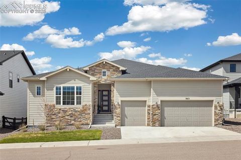 863 Edenborn Place Castle Rock CO 80104