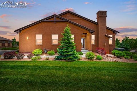 Photo of 13114 Cake Bread Heights, Colorado Springs, CO 80921 (MLS # 5322828)