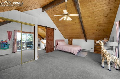 Tiny photo for 1276 Pinewood Road, Florissant, CO 80816 (MLS # 5987009)
