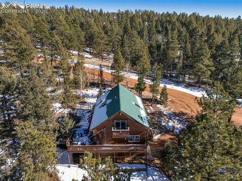 Tiny photo for 1276 Pinewood Road, Florissant, CO 80816 (MLS # 5987009)