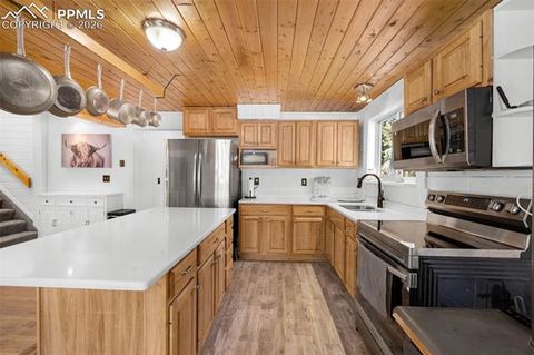 Tiny photo for 1276 Pinewood Road, Florissant, CO 80816 (MLS # 5987009)