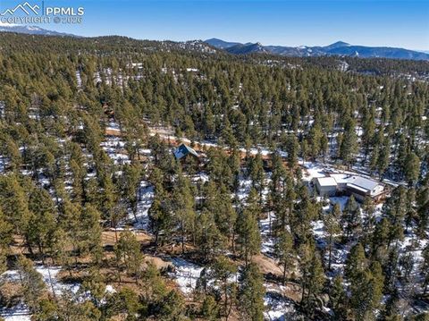 Tiny photo for 1276 Pinewood Road, Florissant, CO 80816 (MLS # 5987009)