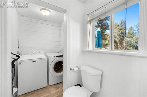 Tiny photo for 1276 Pinewood Road, Florissant, CO 80816 (MLS # 5987009)