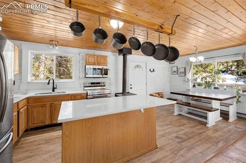 Tiny photo for 1276 Pinewood Road, Florissant, CO 80816 (MLS # 5987009)