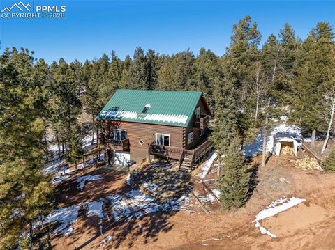 Tiny photo for 1276 Pinewood Road, Florissant, CO 80816 (MLS # 5987009)