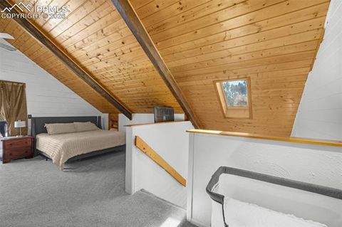 Tiny photo for 1276 Pinewood Road, Florissant, CO 80816 (MLS # 5987009)