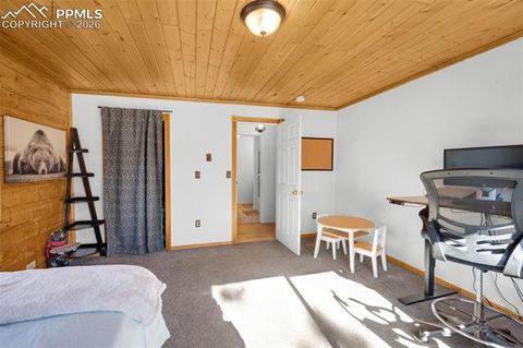 Tiny photo for 1276 Pinewood Road, Florissant, CO 80816 (MLS # 5987009)