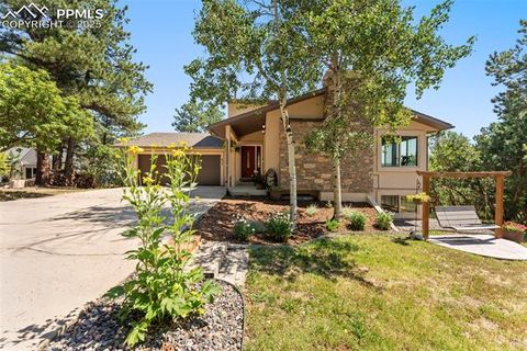 Photo of 630 Larks Nest Way, Monument, CO 80132 (MLS # 4012286)