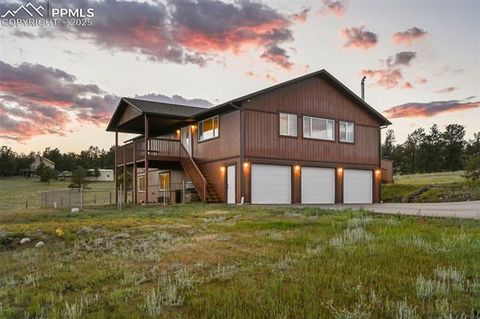 Photo of 115 White Tail Lane, Florissant, CO 80816 (MLS # 2854281)