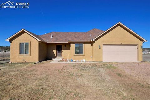 Photo of 573 Empire Road, Florissant, CO 80816 (MLS # 2946436)