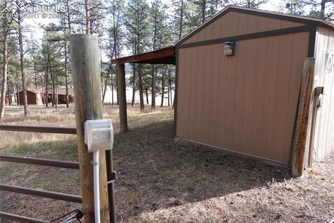 Tiny photo for 70 Dunlap Road, Florissant, CO 80816 (MLS # 4189693)