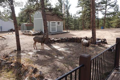 Tiny photo for 70 Dunlap Road, Florissant, CO 80816 (MLS # 4189693)