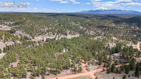 Tiny photo for 2450 Pathfinder Road, Florissant, CO 80816 (MLS # 2556117)
