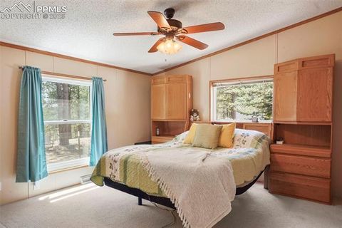 Tiny photo for 2450 Pathfinder Road, Florissant, CO 80816 (MLS # 2556117)
