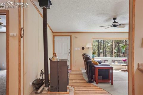 Tiny photo for 2450 Pathfinder Road, Florissant, CO 80816 (MLS # 2556117)
