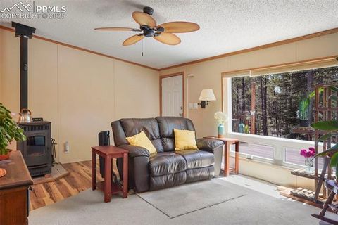 Tiny photo for 2450 Pathfinder Road, Florissant, CO 80816 (MLS # 2556117)