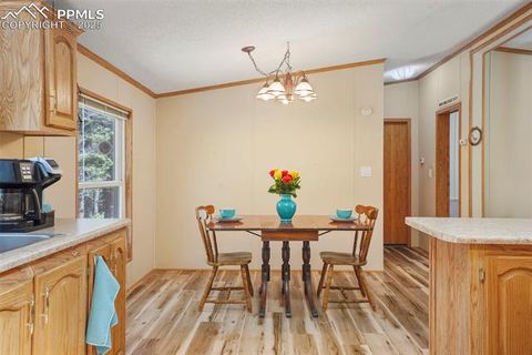 Tiny photo for 2450 Pathfinder Road, Florissant, CO 80816 (MLS # 2556117)