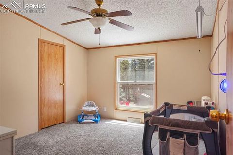 Tiny photo for 2450 Pathfinder Road, Florissant, CO 80816 (MLS # 2556117)