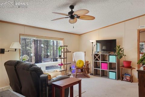 Tiny photo for 2450 Pathfinder Road, Florissant, CO 80816 (MLS # 2556117)