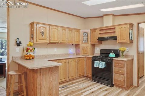 Tiny photo for 2450 Pathfinder Road, Florissant, CO 80816 (MLS # 2556117)