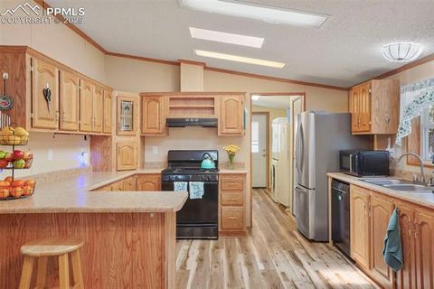 Tiny photo for 2450 Pathfinder Road, Florissant, CO 80816 (MLS # 2556117)