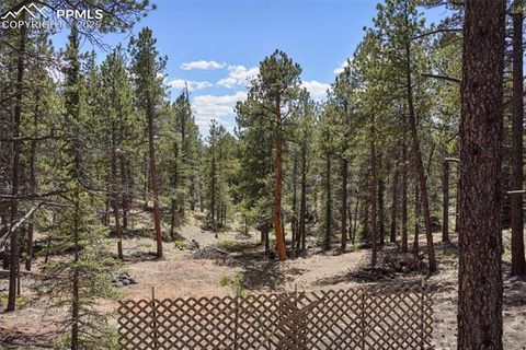 Tiny photo for 2450 Pathfinder Road, Florissant, CO 80816 (MLS # 2556117)