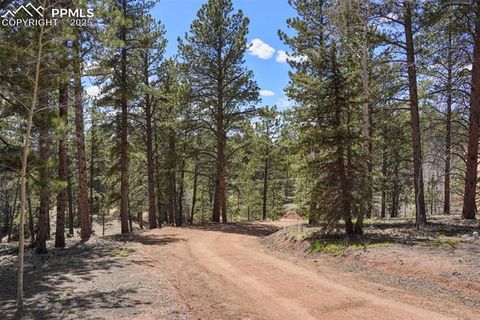 Tiny photo for 2450 Pathfinder Road, Florissant, CO 80816 (MLS # 2556117)