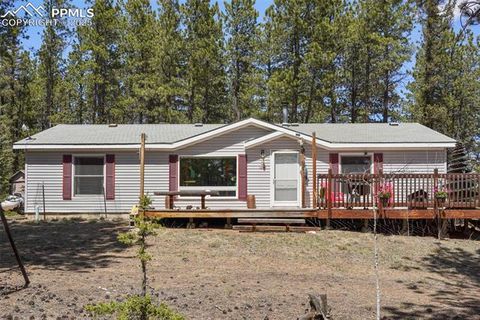 Photo of 2450 Pathfinder Road, Florissant, CO 80816 (MLS # 2556117)