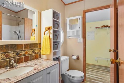 Tiny photo for 2450 Pathfinder Road, Florissant, CO 80816 (MLS # 2556117)